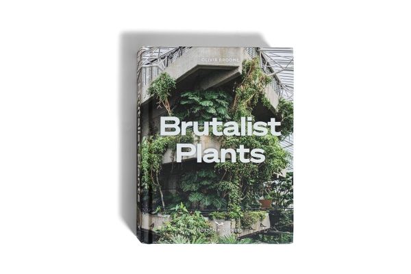 Quand le végétal poétise le brutalisme